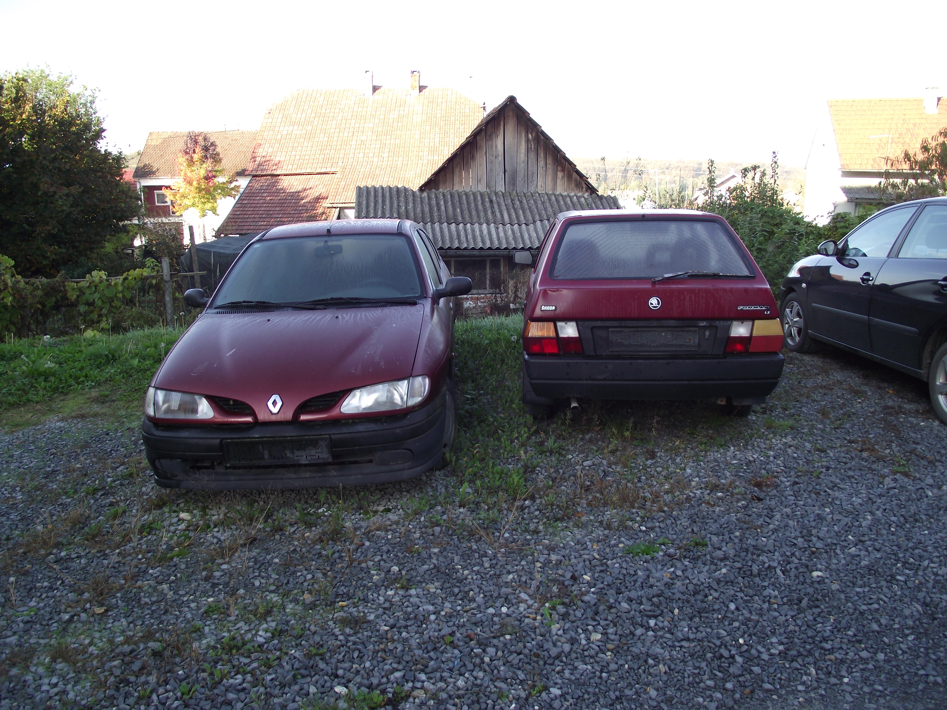 DSCF9109